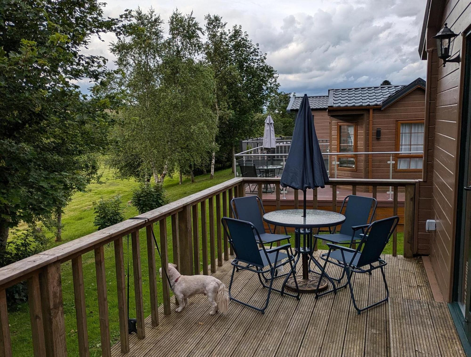 Rustic Lodge Retreat At Riverview Holiday Park Newcastleton Экстерьер фото