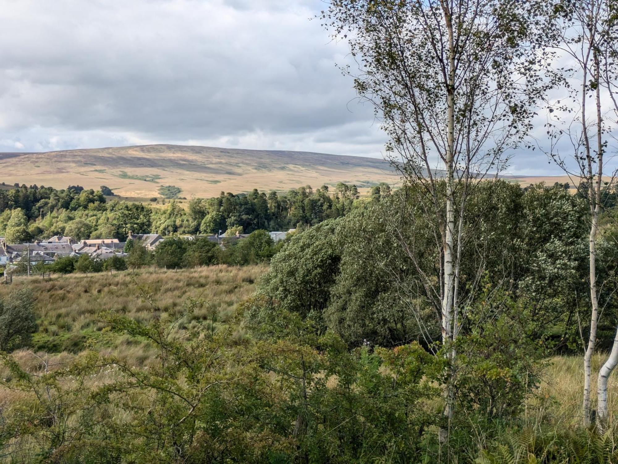 Rustic Lodge Retreat At Riverview Holiday Park Newcastleton Экстерьер фото